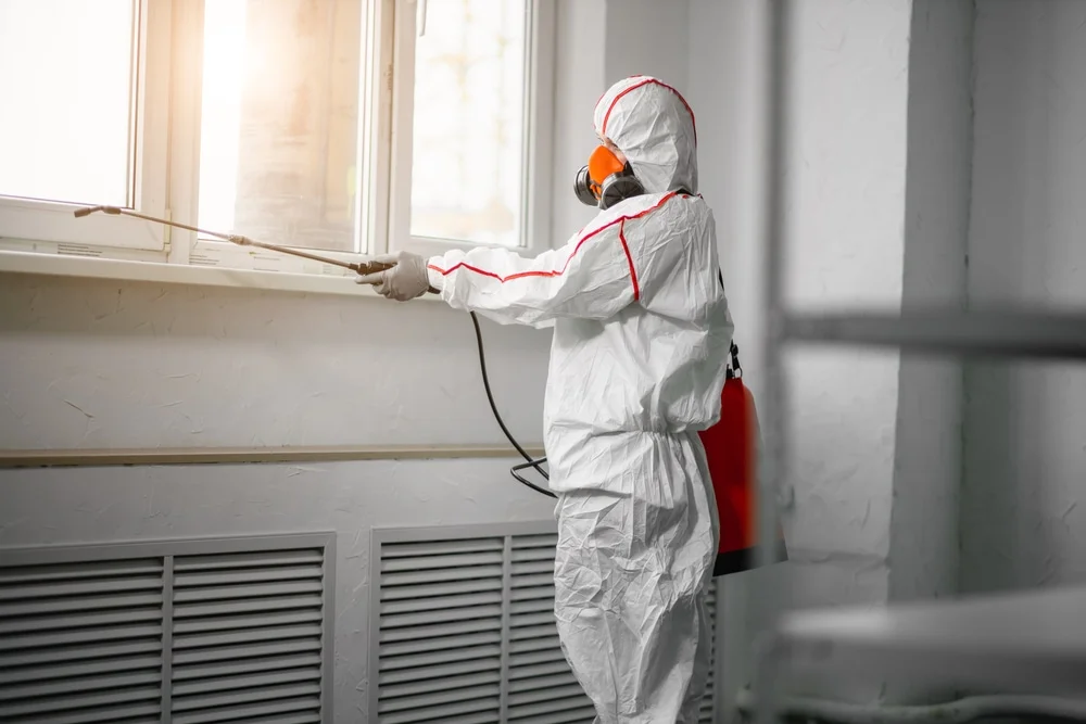 Professional mold remediation services in Pomona Park, FL